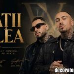 Frații Velea: Cine Sunt, Biografie, Piese și Controversa Mamacita
